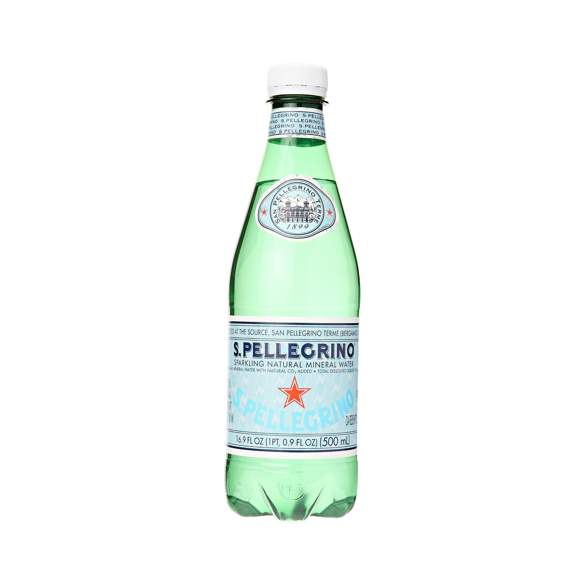 San Pellegrino Sparkling Natural Mineral Water, 1 Bottle 16.9 fl oz