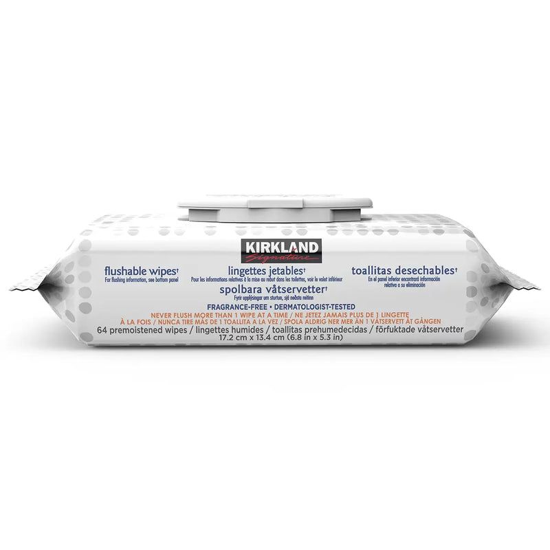 Kirkland Signature Premoistened Flushable Wipes, Fragrance Free, 1 Package with 64 wipes